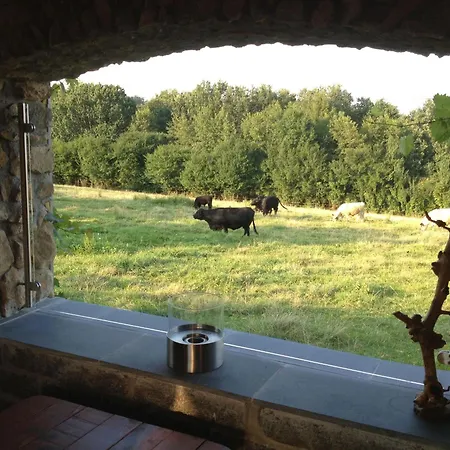 Holiday home Thermen Bad Waltersdorf
